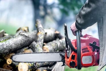 куплю пчелка: Сдам в аренду Утюги, Строительные леса, Опалубки — 6