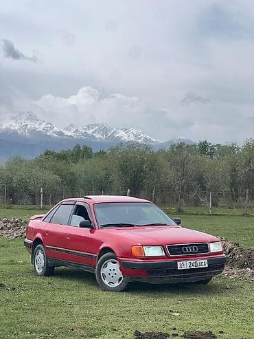 м50 m50: Audi 100: 1992 г., 2.6 л, Механика, Бензин, Седан — 1