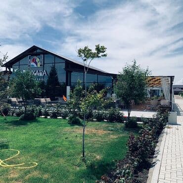 аренда дом без хозяина: Коттедж, Палм Бич ЦО Palm Beach, Чок-Тал, Барбекю, Баскетбольная площадка, Батут — 16