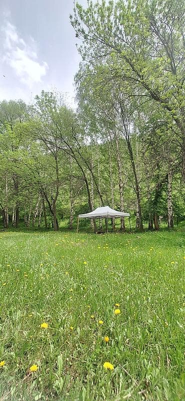 солнечные фанари: Аренда юрты, Каркас Металлический, 55 баш, Посуда — 6