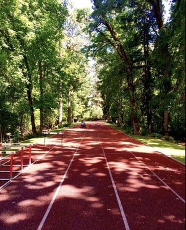 сколько стоит футбольный газон: Резиновое покрытие. Строительство и покрытие беговых дорожек и — 2