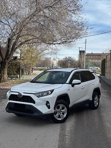 дверь рав4: Toyota RAV4: 2019 г., 2.5 л, Автомат, Гибрид, Кроссовер — 2