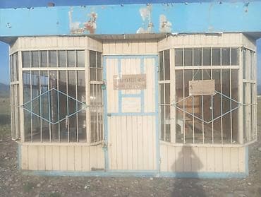 продажа кафе: Сатылат Чым-коргон мал базарда — 1