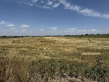 Недвижимость: 220 соток, Для сельского хозяйства, Договор купли-продажи — 6