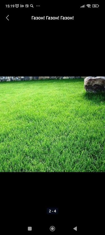 декоративный газон: Газон! Газон! Газон! Газон не только модный, но и очень практичный, а — 3