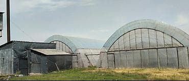 подсобный хозяйства: 300 соток, Для бизнеса, Тех паспорт — 4