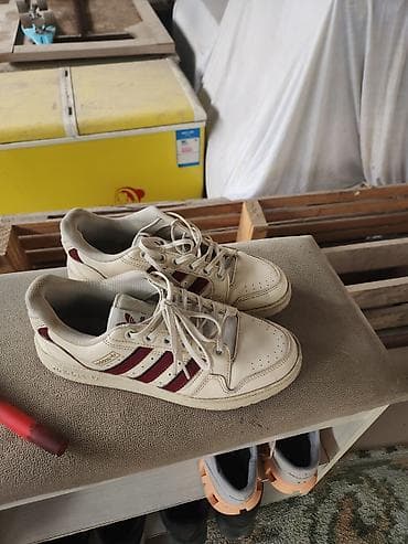 кожанные красовки: Кроссовки adidas Handball (винтажный силуэт) - Модель: adidas — 1