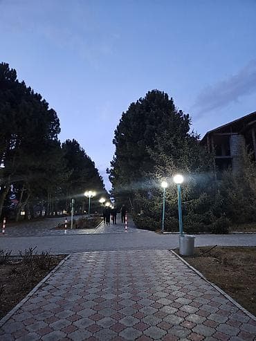 аделя парк: На территории отеля Евразия сдаются коттеджи, тел — 2