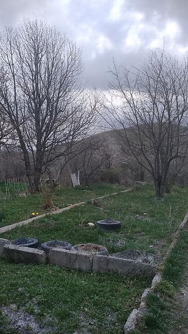 сажа: Садовый участок с домом и хозпостройками. - Участок: ровный — 3