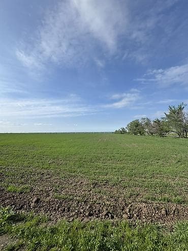 селхоз земли: 500 соток Для сельского хозяйства, Водопровод — 6