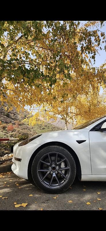 лупа фара: Tesla Model 3: 2023 г., 0.1 л, Автомат, Электромобиль, Лифтбек — 5