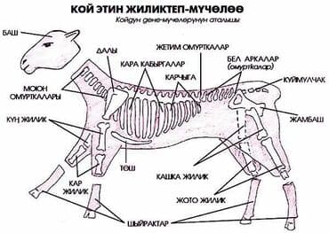 официант неполный рабочий день: Выездные банкеты | Касапчы — 4