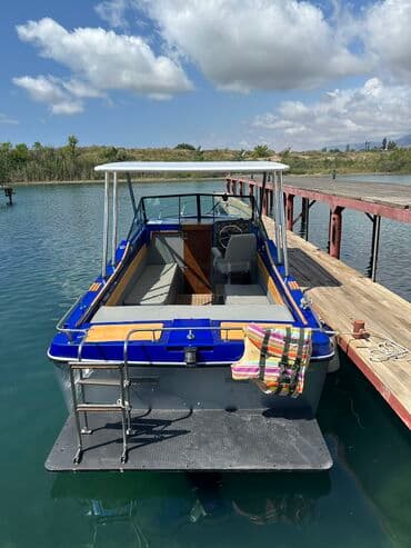 электро мотоцыкыл: Катер Silverline полностью обслужен в отличном состоянии. Двигатель — 3