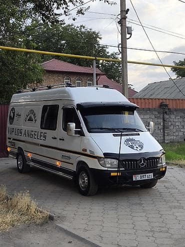 Mercedes-Benz Спринтер: 2003 г., 2.9 л, Механика, Дизель, Бус