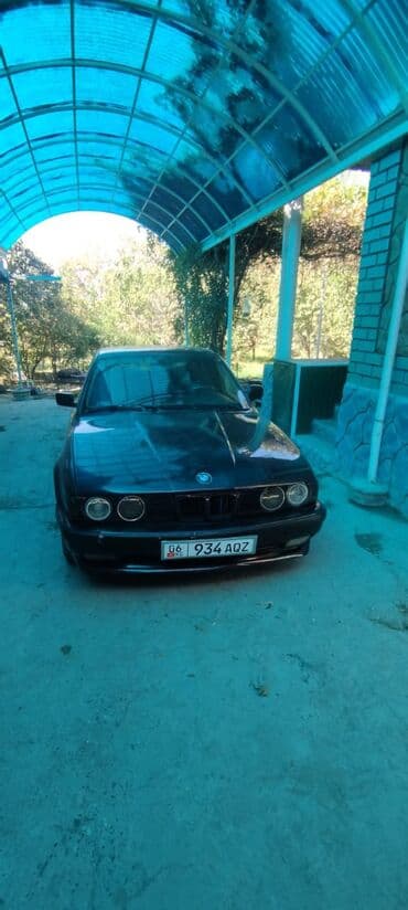 BMW 5 series: 1991 г., 2.5 л, Механика, Бензин, Седан