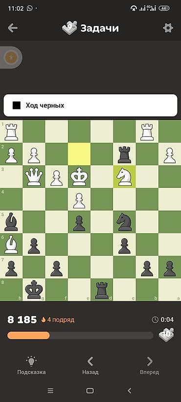 Учитель шахмат и робототехники опыт работы 3 года работатехника