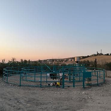 мул: Карусель для выгула и тренинга лошадей (механический — 1