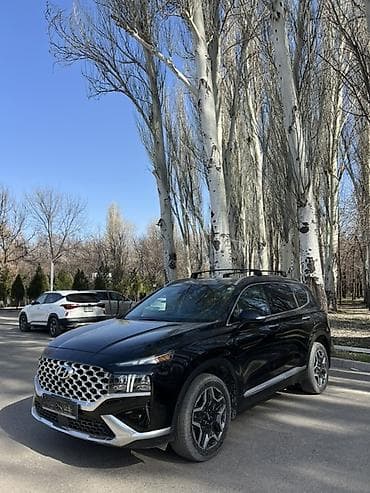 Hyundai Santa Fe: 2022 г., 2.5 л, Автомат, Бензин, Кроссовер