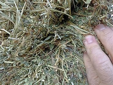 лекарство для животных: Клевер 2укос сено доставка есть зелёный тюки плотные — 3