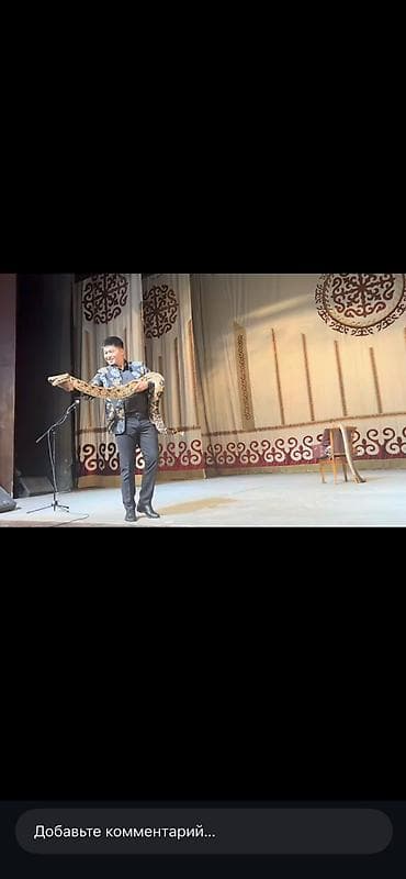 цирковое шоу: ФОКУСНИК, ПОСЛЕ КОТОРОГО ГОВОРЯТ «ВАУ!» ❌ Скучные праздники — не ко — 3