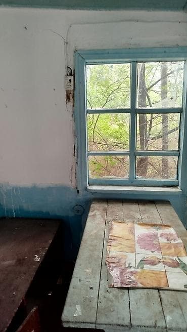eco city: Дом (дача/сельский дом) с печным отоплением 13.9 соток участок — 1