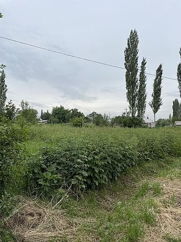10 соток, Айыл чарба үчүн, Кызыл китеп — 8