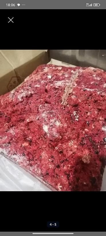 меренос кой: Замороженный мясной фарш в брикетах Говядина для собак! свежий — 2