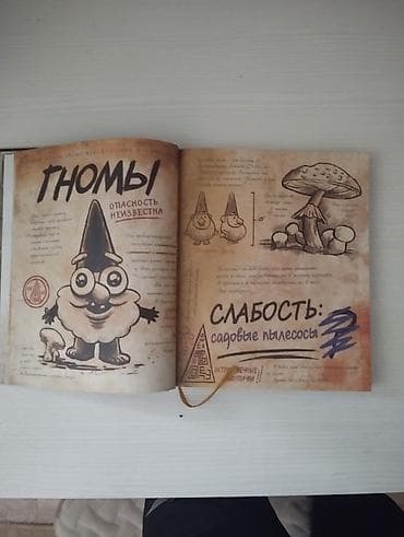 Книги и журналы: Книги для детей и подростков (на русском): 1) Ежедневник «Гравити — 2
