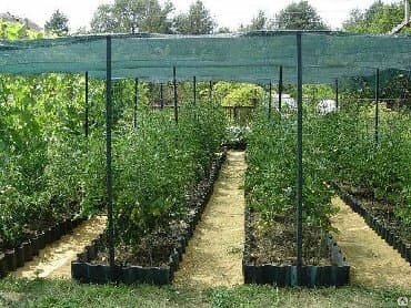 продаю овощи: Үй жана бакча үчүн ыңгайлуулуктар — 1