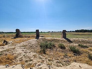 81: 81 соток, Для бизнеса, Красная книга — 4