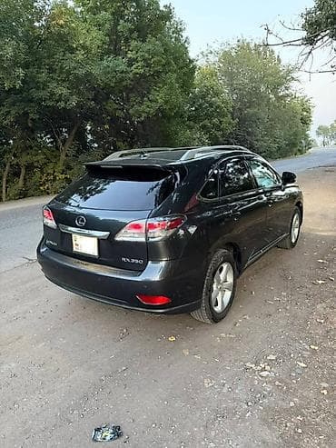 daf 45 150 turbo: Lexus RX: 2010 г., 3.5 л, Автомат, Бензин, Кроссовер — 5