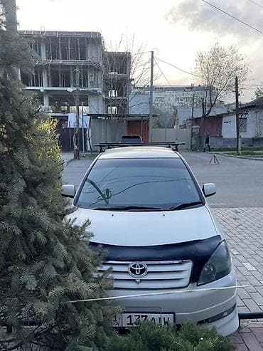 Toyota Ipsum: 2002 г., Минивэн — 10