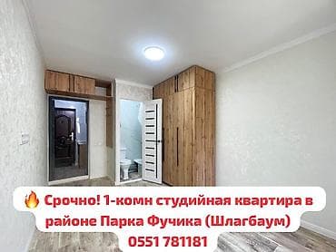 Квартиры: 1 комната, 19 м², парк Фучика Гостиничный тип, 2 этаж, Евроремонт — 1