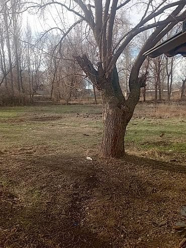 купить дом со сруба: Дом, 26 м², 4 комнаты, Собственник, Косметический ремонт — 3