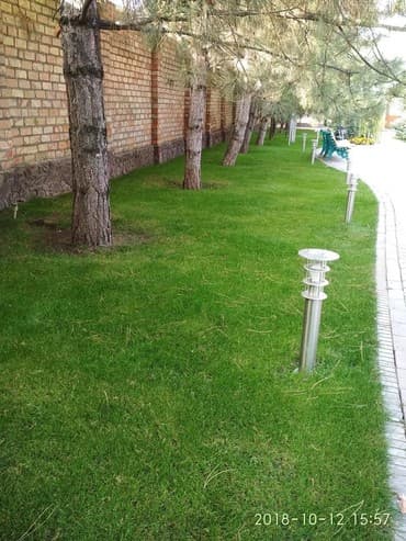 гортензии бишкек цена: Газон. Газон. Газон в бишкеке. Посев газона авто полив газоны для — 4