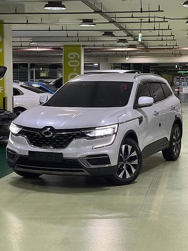 byd leopard 7: Renault QM6: 2021 г., 2 л, Кроссовер — 1