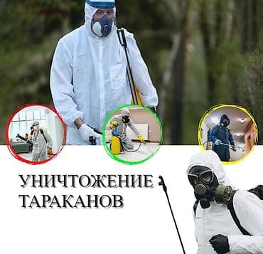 Клининг кызматтары: Дезинфекциялоо, дезинсекциялоо, | Таракандар, | Транспорт, Офистер, Батирлер — 1