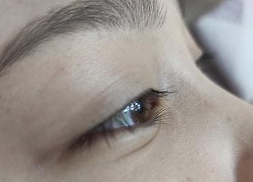 ботокс бишкек цены: Акция «Знакомство с мастером» Ламинирование ресниц + покраска+ботокс — 4