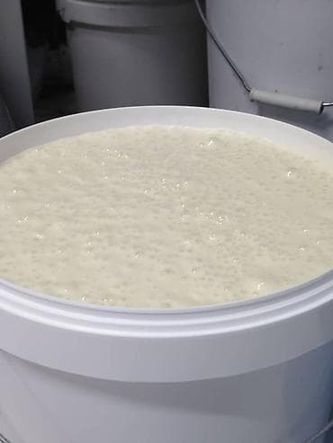 семечки тыквенные: Продаю белый крем мёд Для диабетиков и аллергиков Не вызывает не — 1