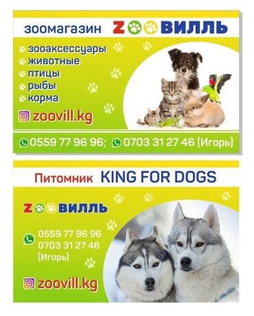 печать на ватмане: Лазердик басып чыгаруу, Чачма басып чыгаруу, | Визиткалар, Чаптамалар, Брендбуктар — 5