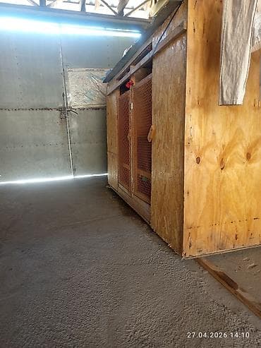 маскитная сетка ош: Деревянный вольер/клетка для продаю срочно животных и птицы из ОСБ - — 2