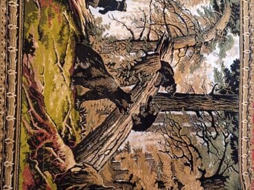 Тошоки: Ковер Б/у, 200 * 100 — 2