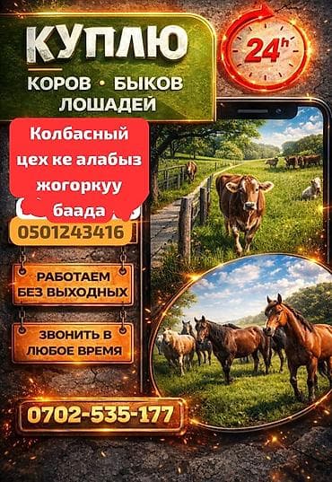 Колбасный цех : Коровы, быки, | Круглосуточно