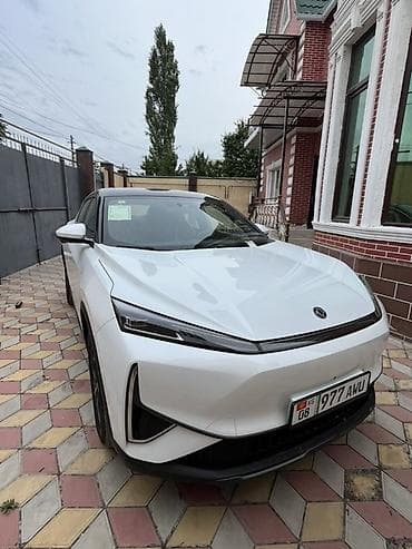 ли л7: Dongfeng : 2025 г. — 1