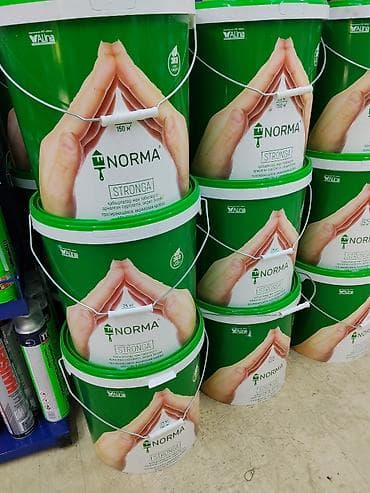 Акриловая краска, Alina Paint Norma Stronga, Для наружной работы, цвет - Бесцветный, 25 кг, Атмосферостойкая