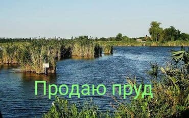 работа в бишкеке швейный цех упаковщик 2020: Продаю пруд - площадь 8 га, зарыбленный, + прилегающая территория — 1