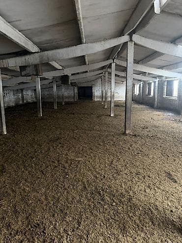 дачный участок бектоо: 113 соток — 3