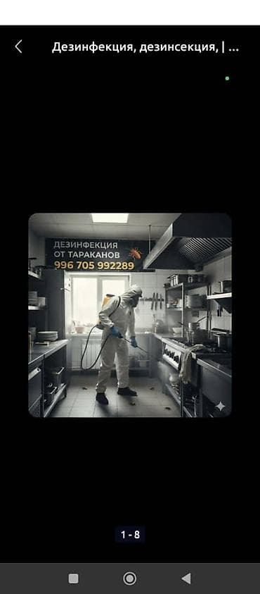 обувь женская 40: Дезинфекция, дезинсекция, | Муравьи, | Квартиры — 2