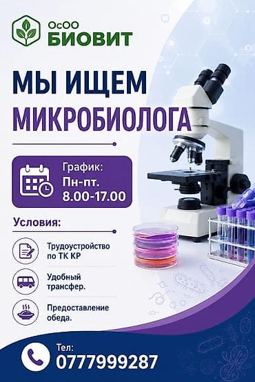 бишкек разнорабочий: Технолог, Иш тартиби: Беш күндүк — 2