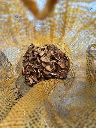 упаковка на дому: Грецкий орех и сушёные яблоки - Орехи в скорлупе, естественной — 4